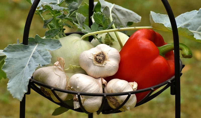Conscious Cooking